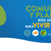 Voluntariado de BANCO DE ALIMENTOS